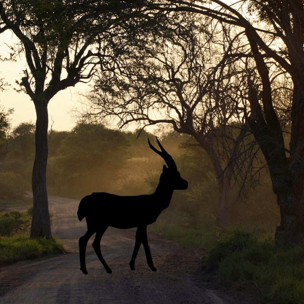 Precut glass shape of gazelle in the wild.