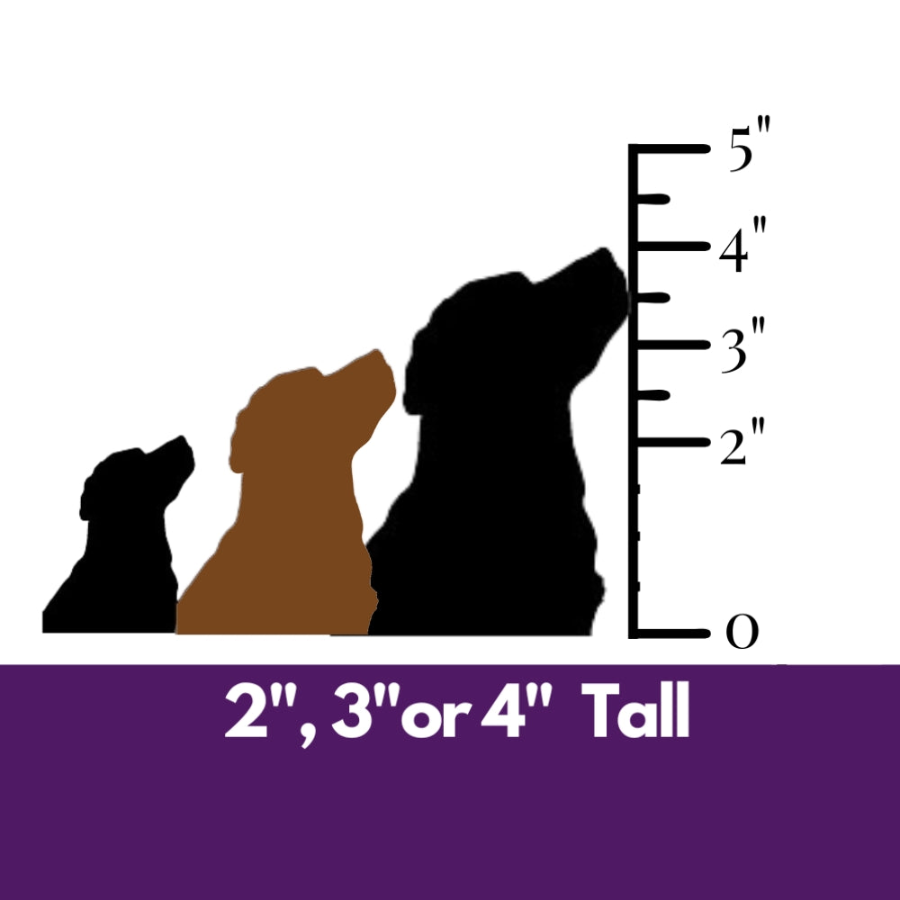 Precut Glass Shape - Labrador Retriever - COE 90 – Fuse Muse Fused Glass