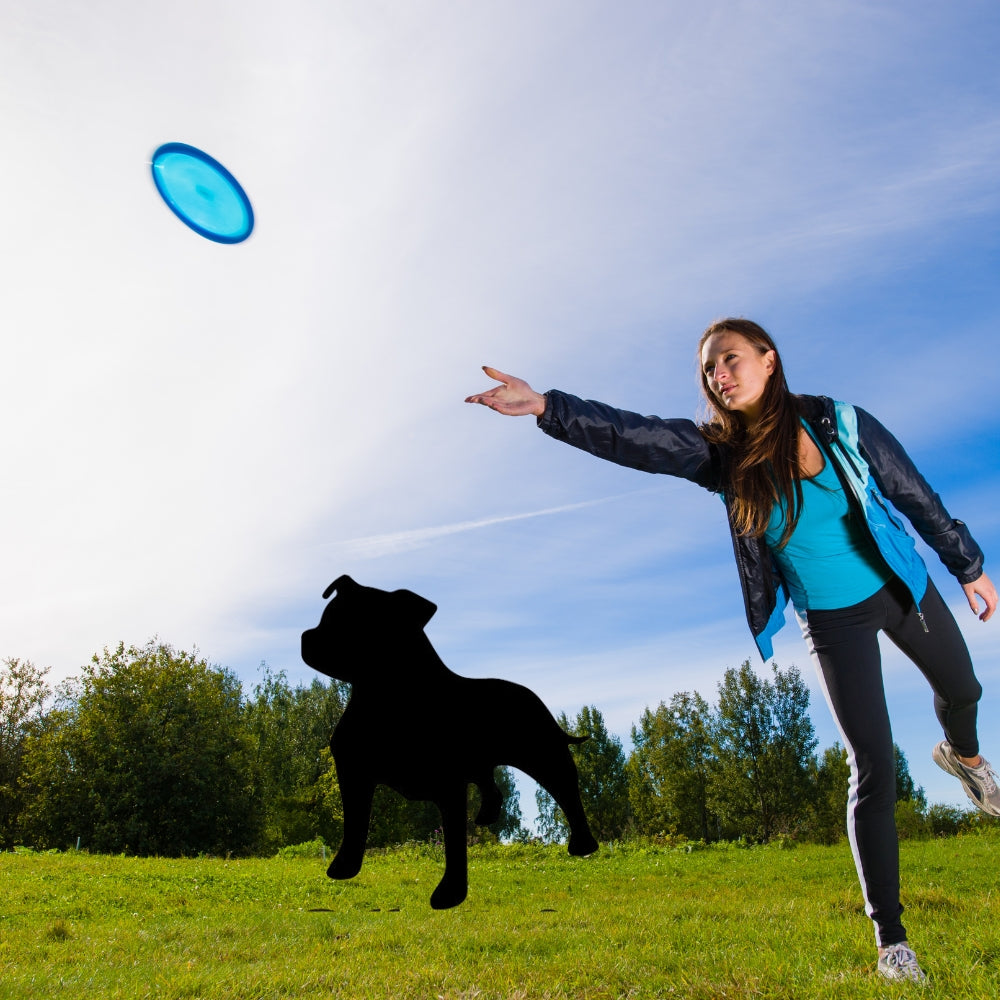 Precut glass shape of a pitbull #3 playing with a frisbee.