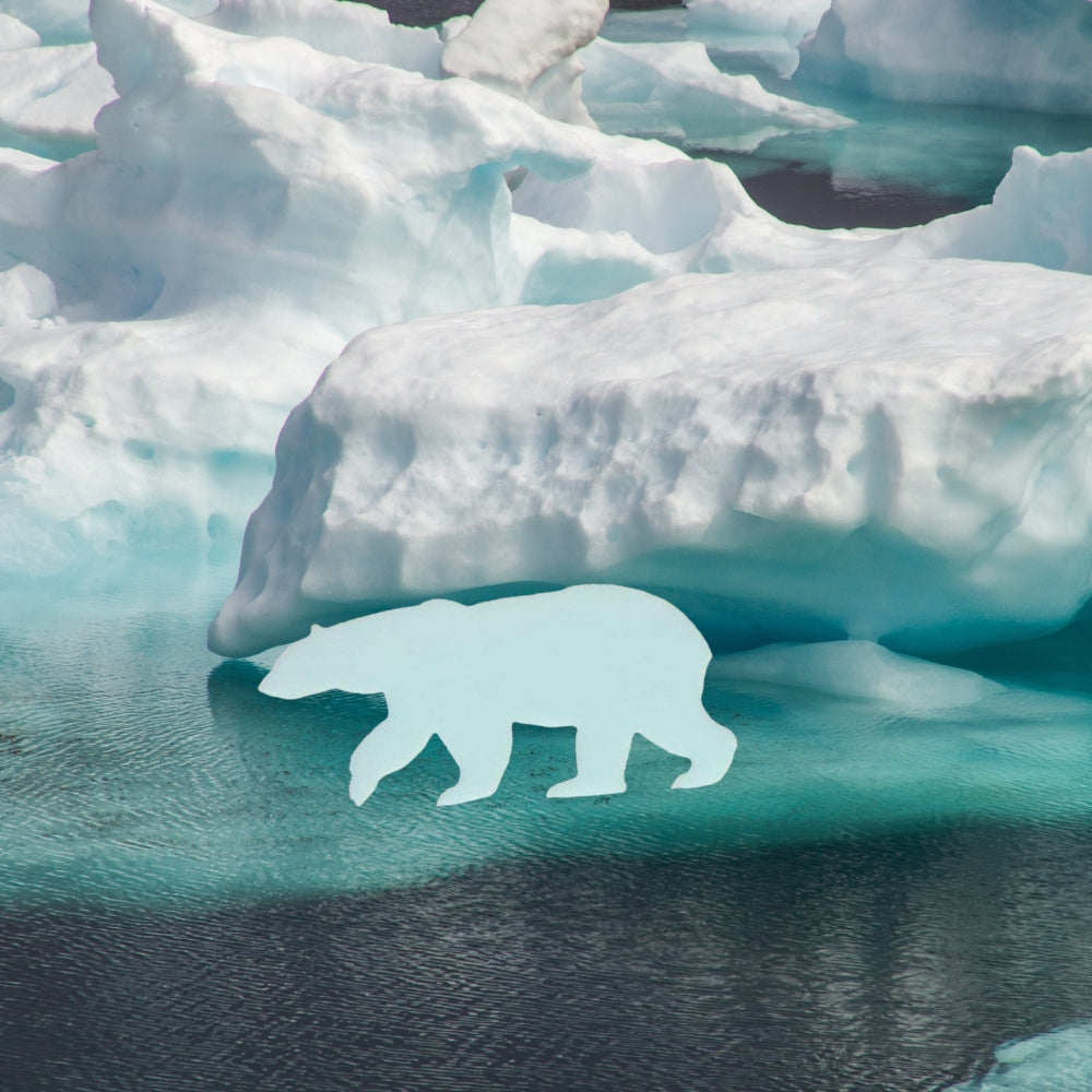 Precut glass shape of a polar bear on ice flow.