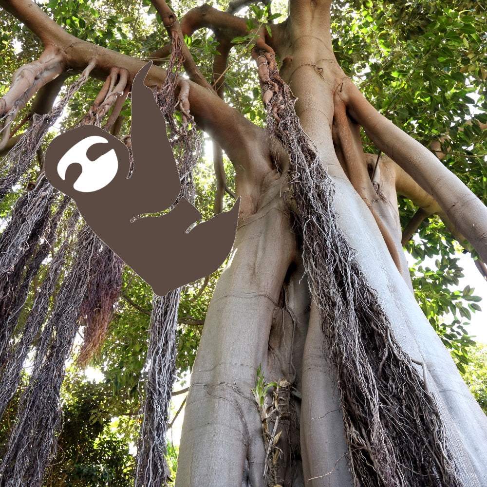 Precut glass shape of a sloth in brown and white hanging in a tree.