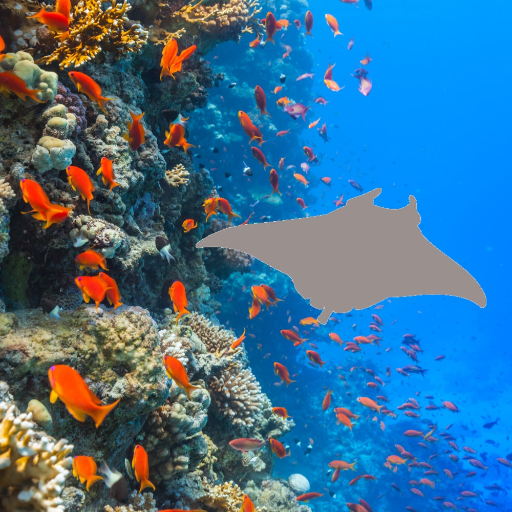 Precut glass shape of a stingray in the ocean.