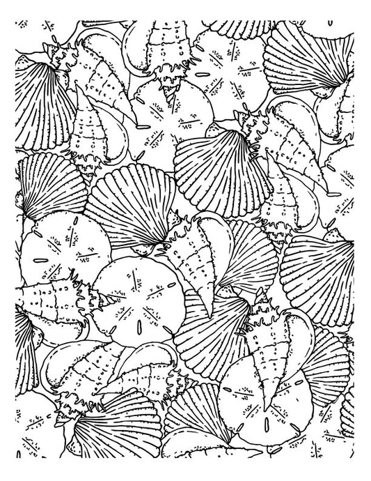 Hand-Drawn Simply Shells Screen Print by Mark Hufford β Ocean-Themed 8x10 Design for Fused Glass and Enamel Projects