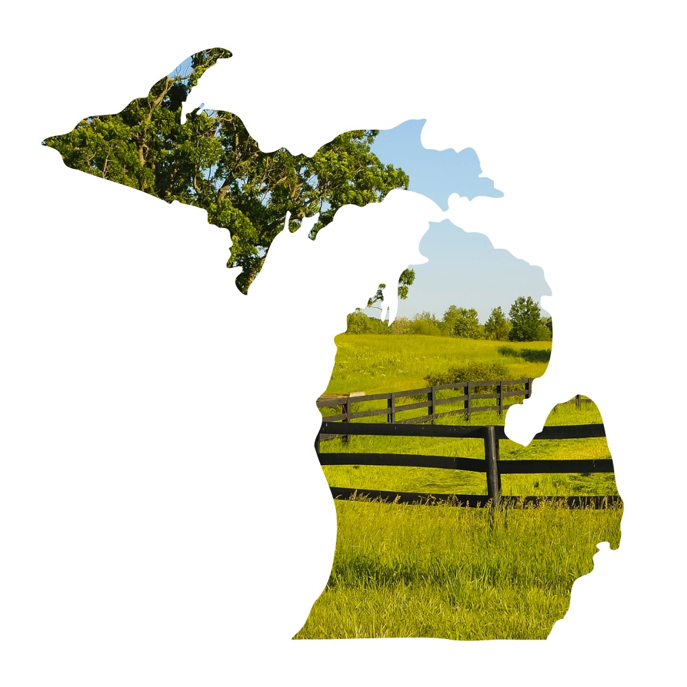 State of Michigan Precut with a picture of Michigan in the shape of the State