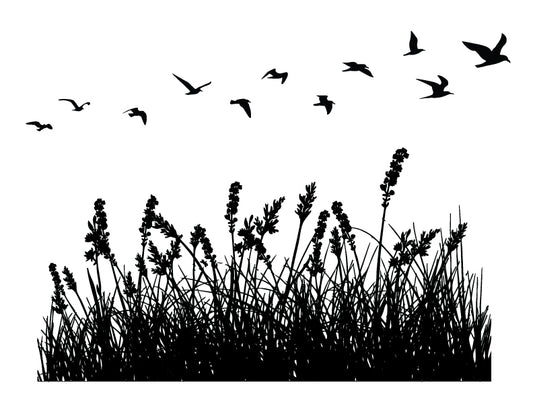 Sea grass and flying birds silk screen stencil for fused glass and print making designs.