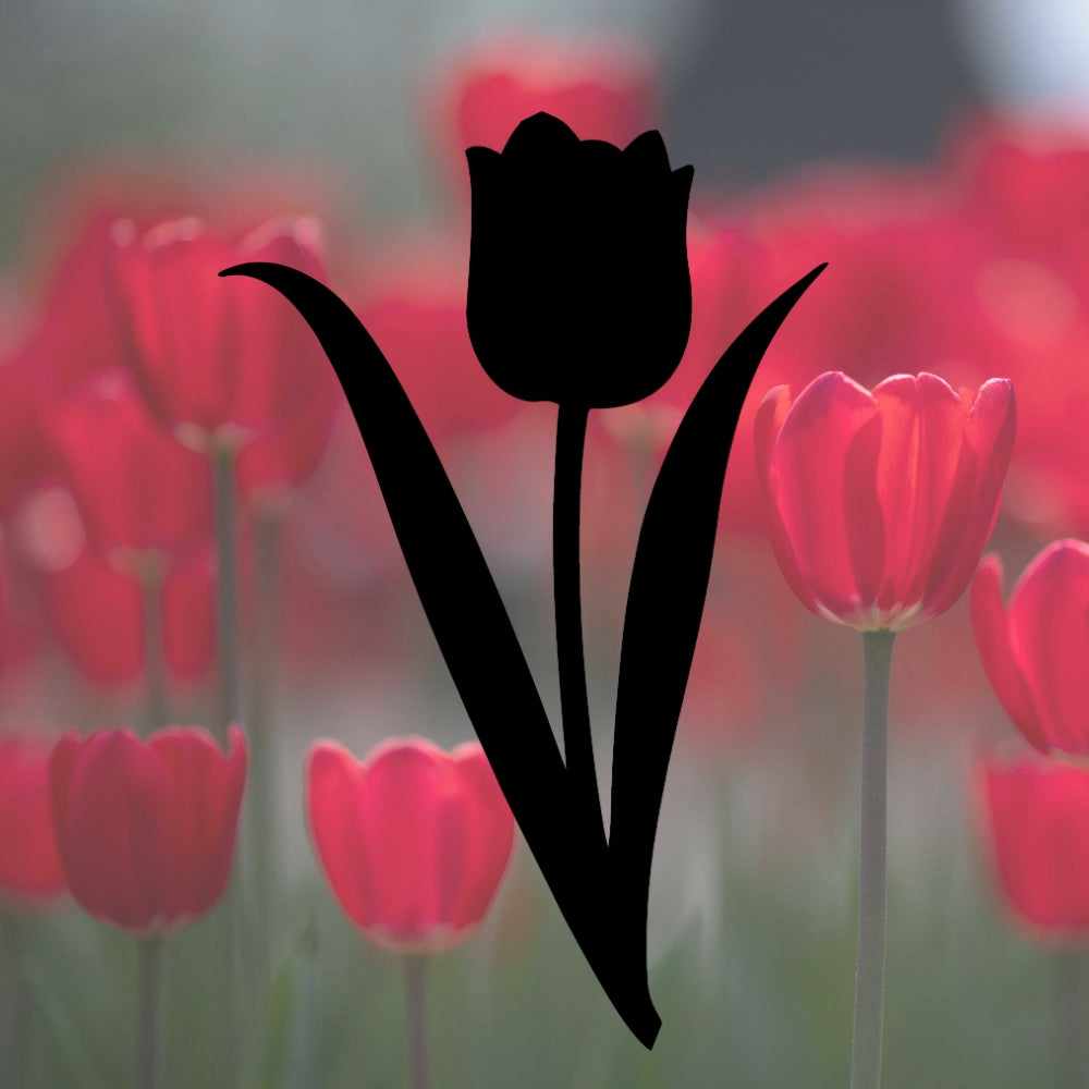 Tulip flower precut glass design silhouette over red tulip flowers, used for fused glass art, spring suncatchers, and kiln-fired glass projects.