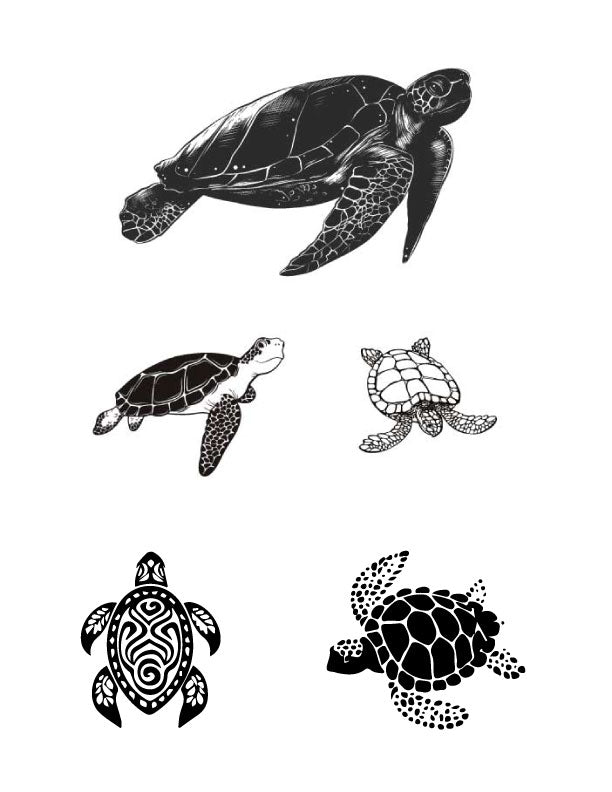 Silk screen stencil design showing six turtle illustrations, including realistic and graphic turtle styles for glass printing