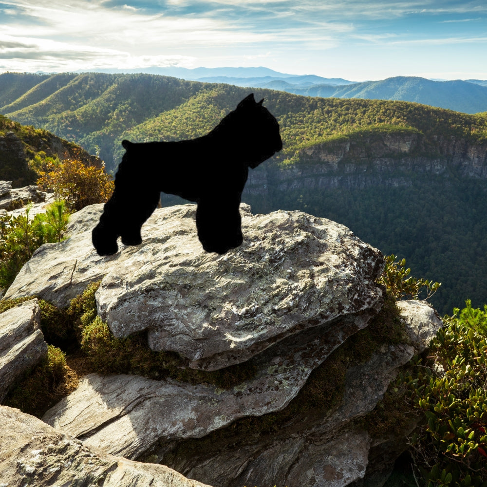 precut glass shape of bouvier dog