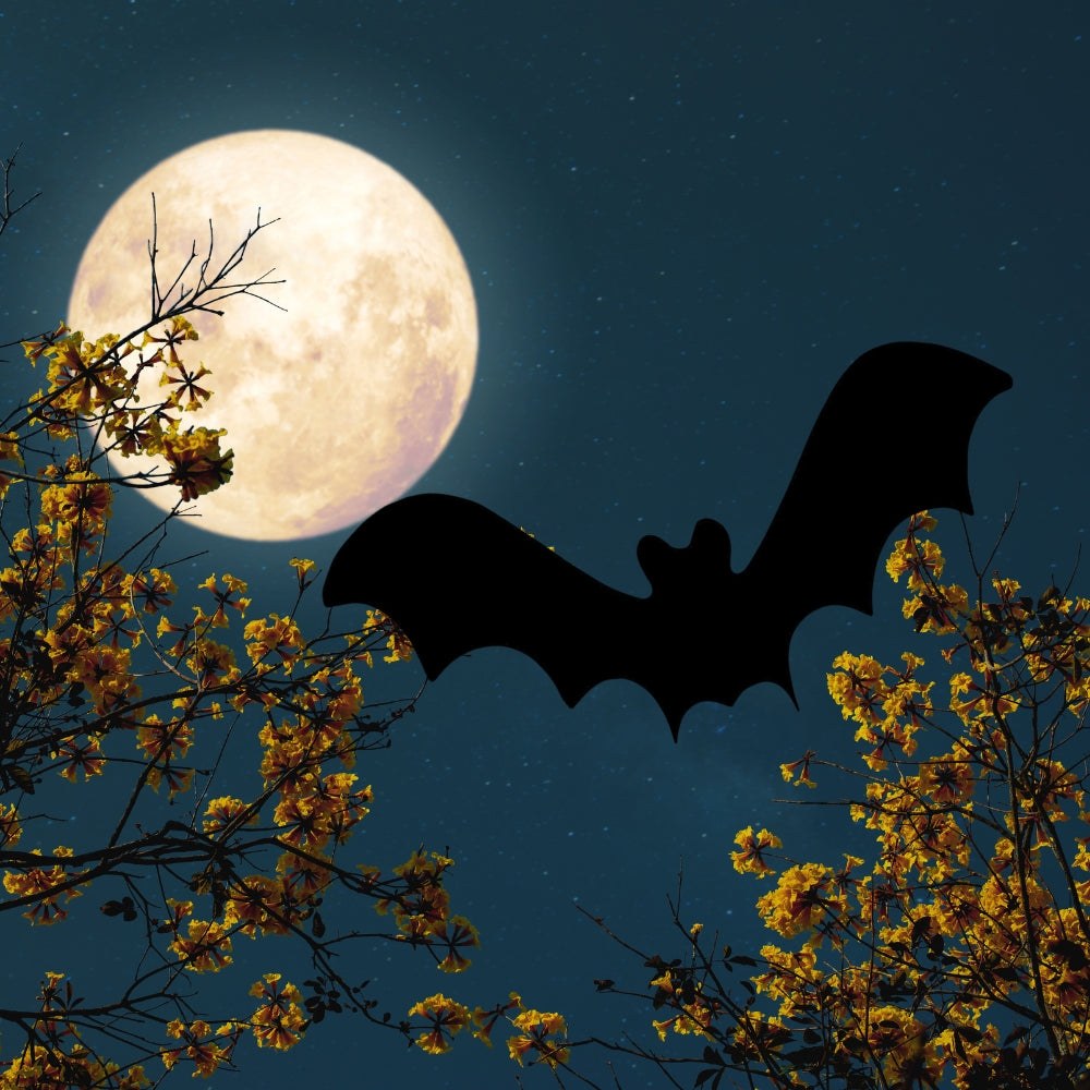 Precut Glass shape of bat with full moon