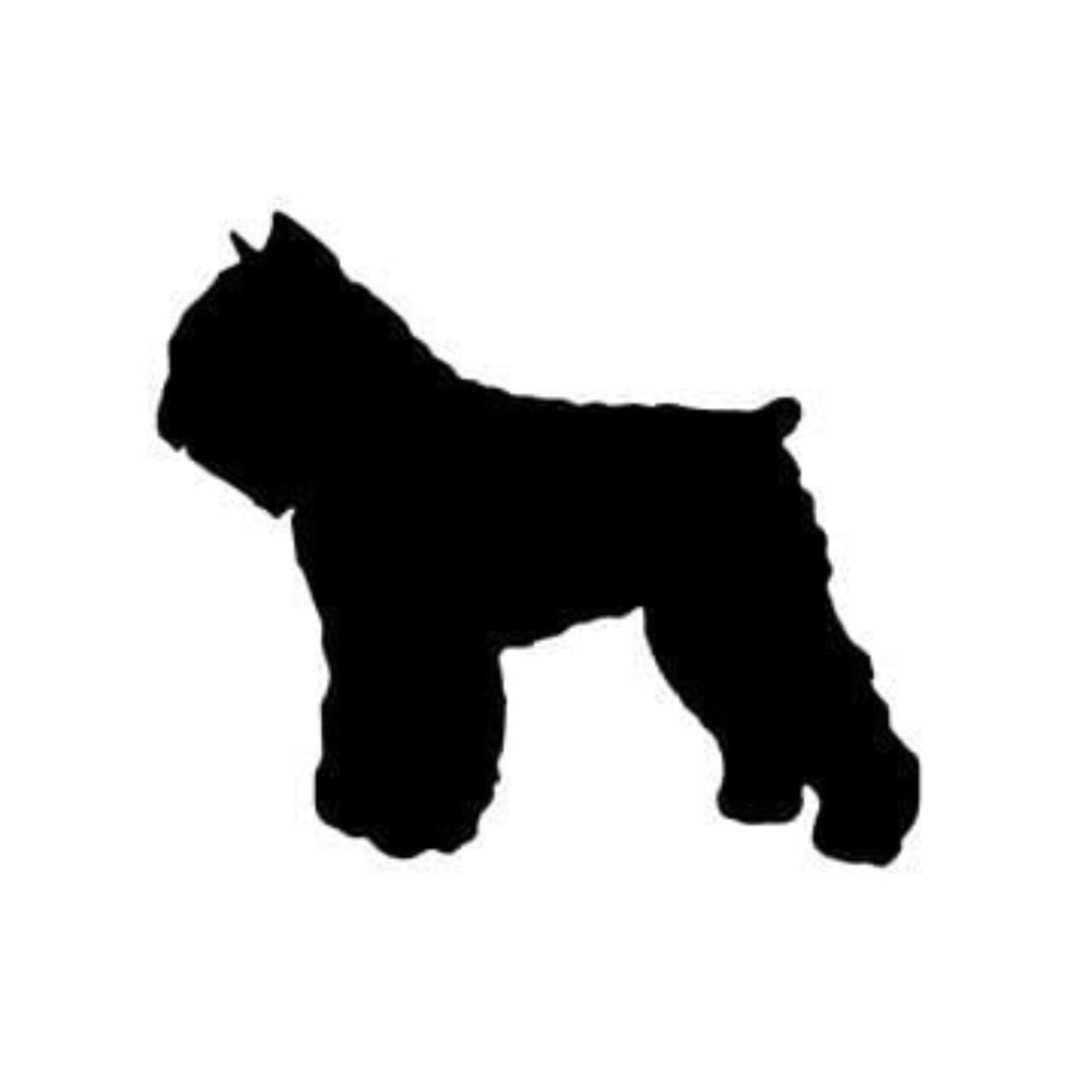 Precut glass shape of bouvier dog