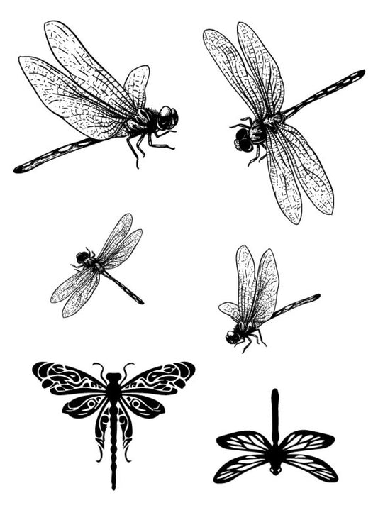 Dragonfly silk screen stencil featuring multiple dragonfly designs in black line art, arranged to show different wing positions and styles