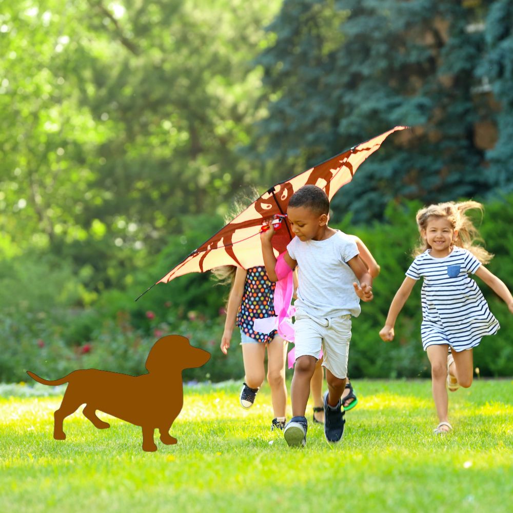 Dachshund Dog in picture with Children playing