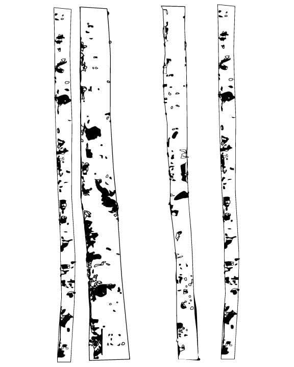 Birch Trees Silk Screen Stencil
