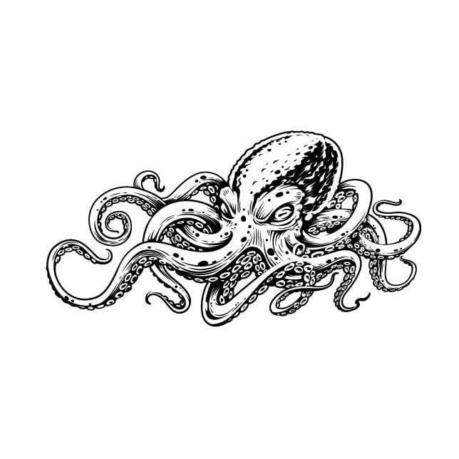 Octopus Silk Screen