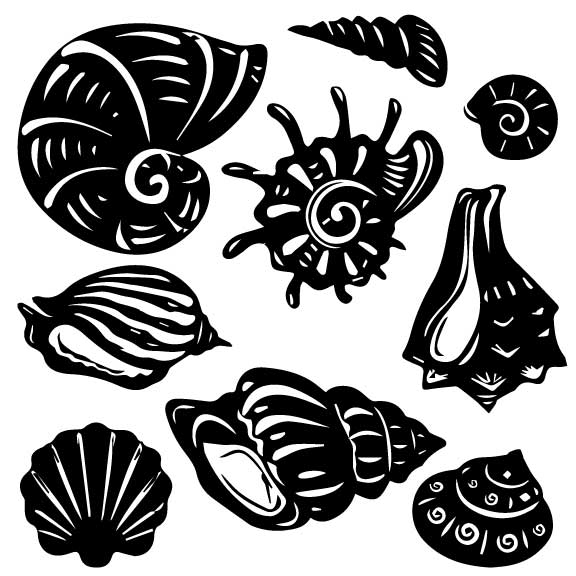 Seashells Silk Screen