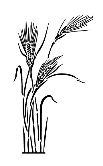 Wheat Stalk Silk Screen
